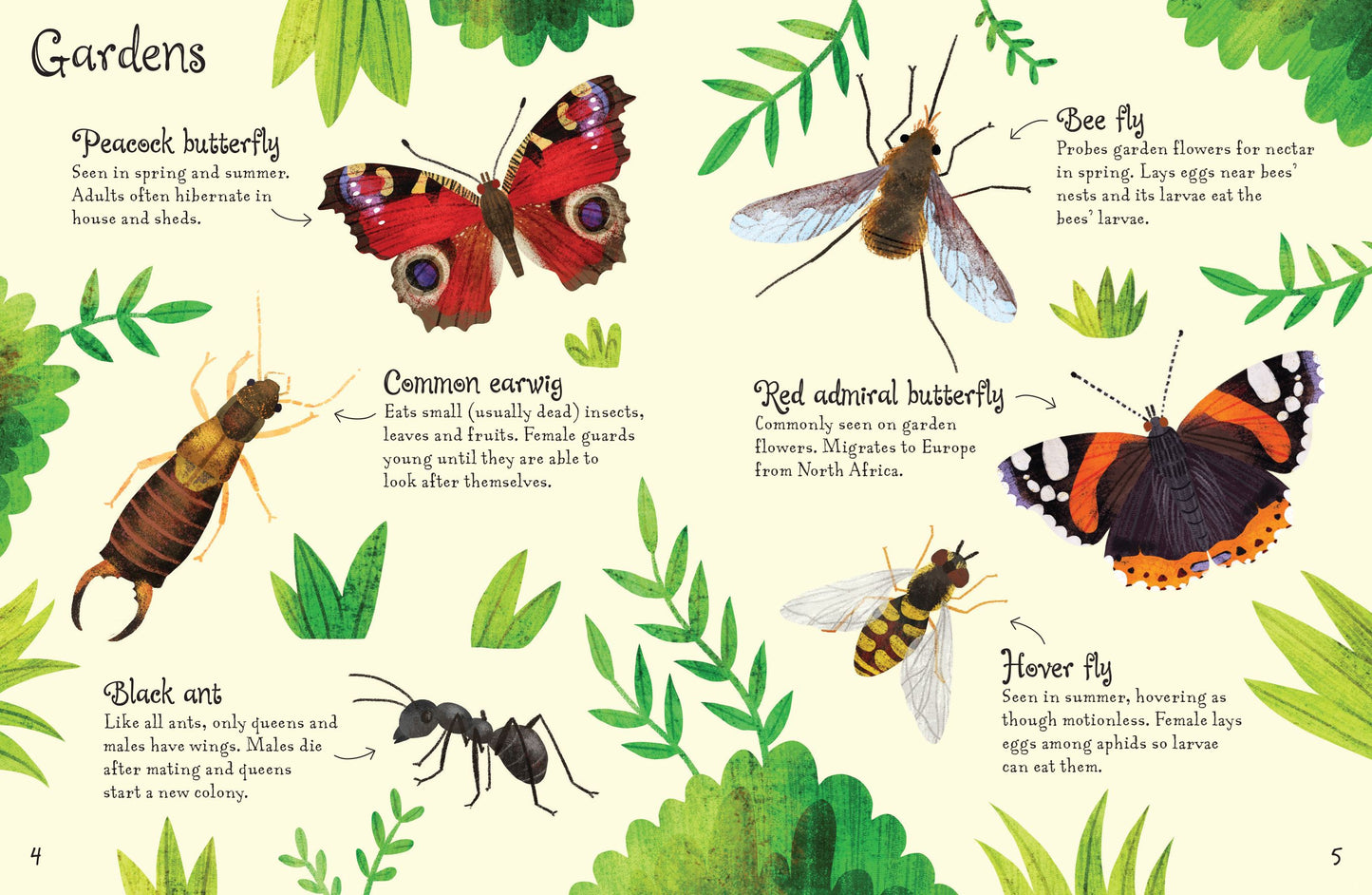 Usborne Minis Bugs To Spot Activity Book