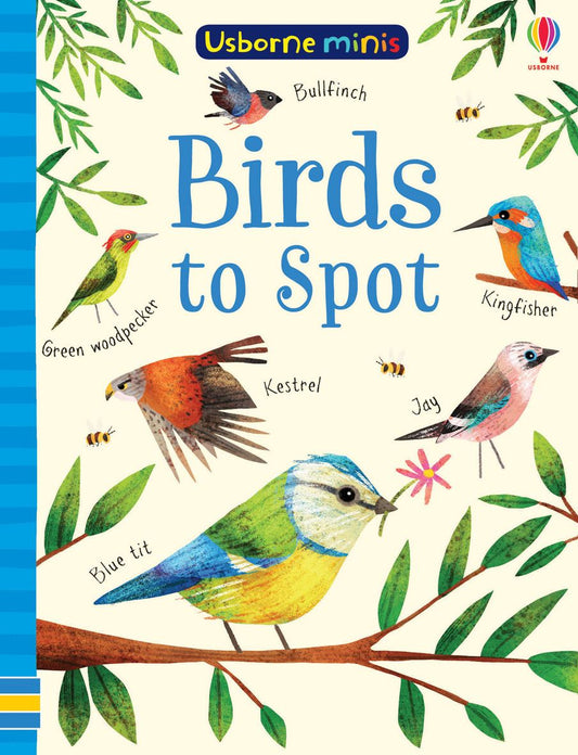 Usborne Minis Birds To Spot Activity Book